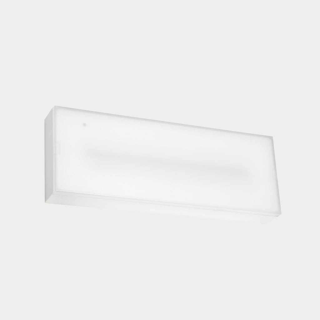 Luminaire de secours DECO Surface IP44, 100 lm -1 h /Non permanent