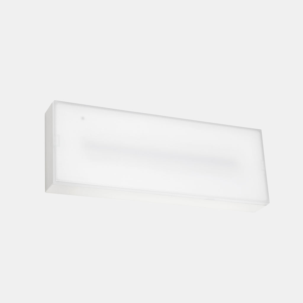 Luminaire de secours DECO Surface IP44 DALI, 300 lm -1 h /Permanent+Autotest