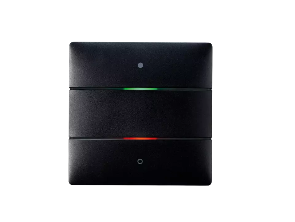THE 4969242 Bouton poussoir noir KNX 2 canaux iON 102 KNX BK